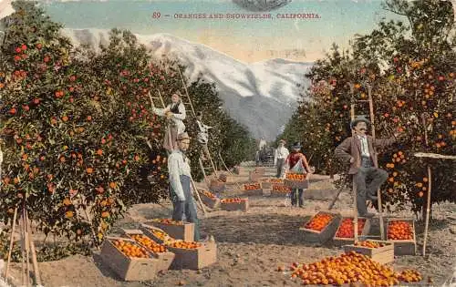 A674 US California Oranges and Snowfields Workers Vintage Postkarte
