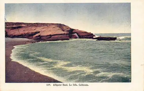 A679 US Kalifornien La Jolla Alligator Head Vintage Postkarte