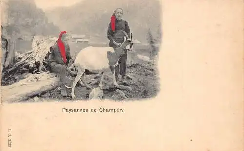 A640 Schweiz Paysannes de Champery Bäuerinnen Melken Ziege Postkarte