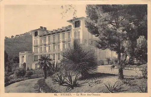 A658 Frankreich Hyeres Mont des Oiseaux Vintage Postkarte