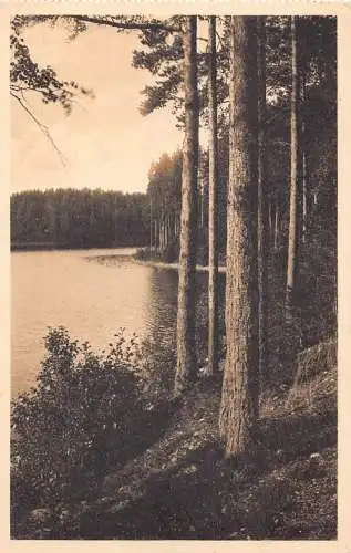 A718 Finnland Punkaharju Wald Vintage Postkarte