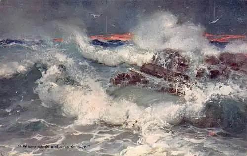 A719 Valentinstag Artotypie Wellen Wo Wind und Meer tobe Vogel Postkarte