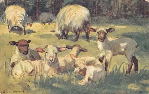 A723 Bauernhof Babys 1920 Tiere Baby Schaf Kunst Vintage Postkarte