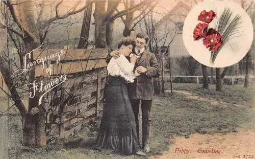 A737 Sprache der Blumen 1906 Mohn tröstendes Paar umarmt Vintage Postkarte