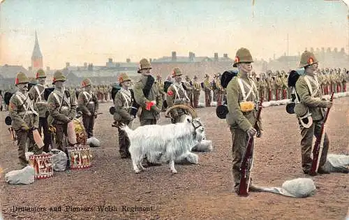 A738 Militär 1910 Trommler und Pioniere Welsh Regiment Ziege Soldaten Postkarte