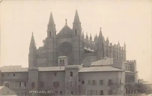 A745 Spanien Palma de Mallorca Kathedrale RPPC Vintage Postkarte
