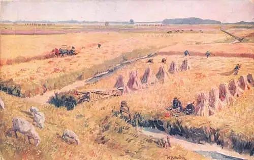 A754 Niederlande Kunst Groeningen Umgebung Landwirtschaft Heuernte Postkarte