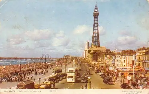 L239 England Blackpool Tower and Promenade 1954 Double Decker Cars Postkarte