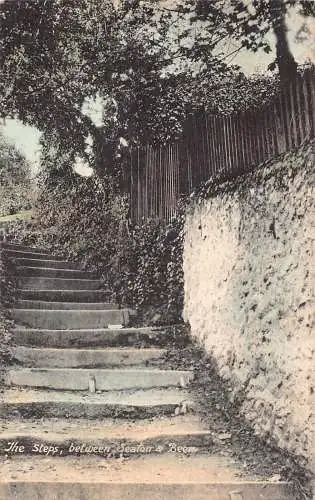 L240 England Die Stufen zwischen Seaton und Biertreppe Vintage Postkarte