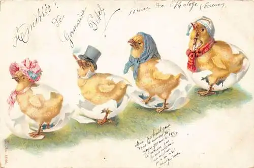 L110 Ostergrüße 1901 Frankreich vermenschlichte Hühner Litho Postkarte