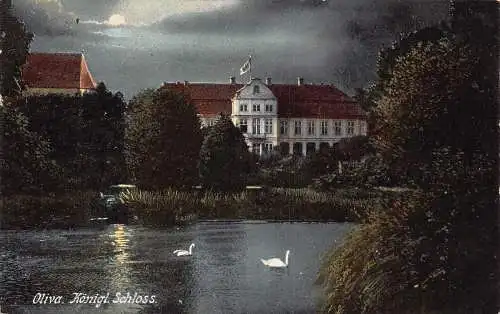A170 Polen 1912 Oliva Oliwa Schloss Königl Schloss Mondschein Schwäne Postkarte