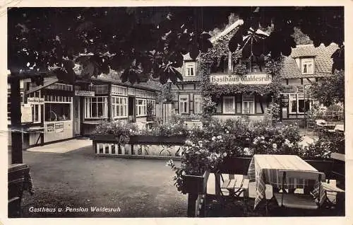 A173 Deutschland 1937 Pension Waldesruh Bar Terrasse Rosen Treseburg-Harz Postkarte