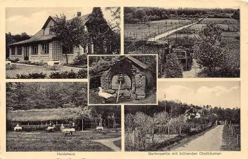 A177 Deutschland Heidehaus Gartenpartie Bluehenden Obstbaeumen Ente Postkarte