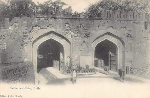 A007 Indien Cashmere Gate Delhi Ochsen lokale Vintage Postkarte