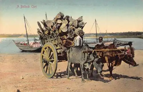 A007 Indien Ein Ochsenwagen mit Holz am Strand, Boote Vintage Postkarte
