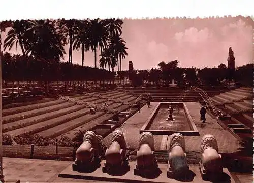 A765 Ägypten Kairo Moorgarten in Guezireh RPPC Vintage Postkarte