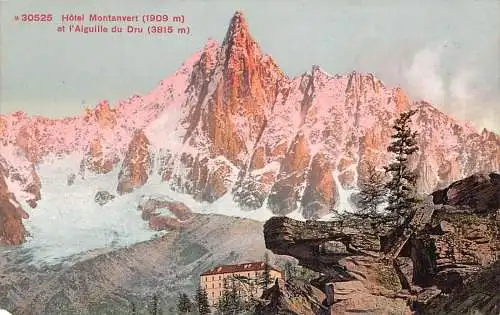 A003 Schweiz Hotel Montanvert et l'Aiguille du Dru Berg Vintage Postkarte