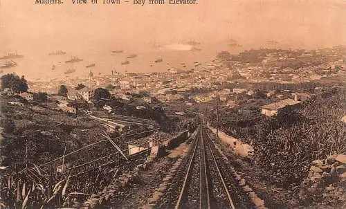 A001 Portugal Madeira Funchal Blick Bucht vom Aufzug Dampfschiffe Vintage Postkarte
