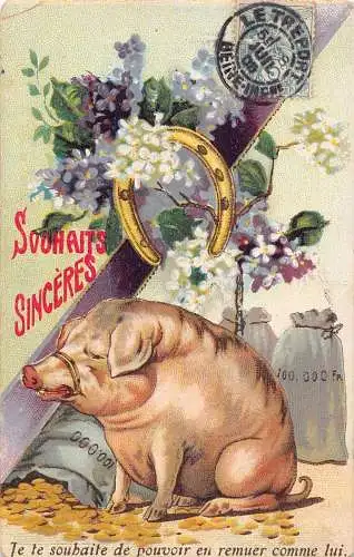 L394 Liebe Grüße 1905 Fat Pig Hufeisen Blumen Geldtüten Postkarte