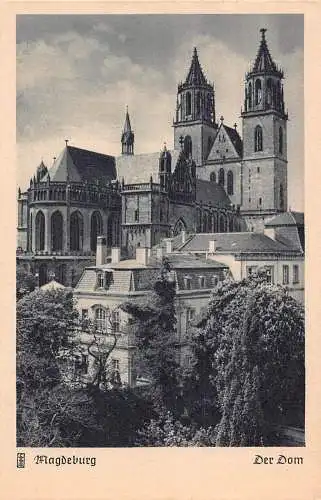 L050 Deutschland Magdeburger Dom Vintage Postkarte