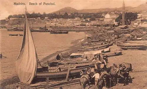 A001 Portugal Madeira Strand von Funchal Boote Pferde Vintage Postkarte