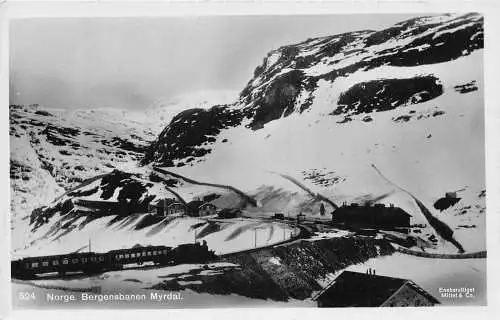 L390 Norwegen Bergensbanen Myrdal Berge Zug Eisenbahn Vintage Postkarte