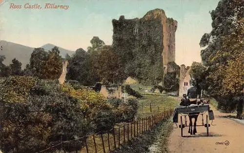 L386 Irland Killarney Ross Castle Kutsche Vintage Postkarte