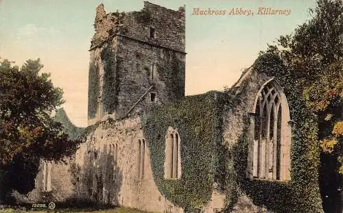 L386 Irland Killarney Muckross Abbey Vintage Postkarte