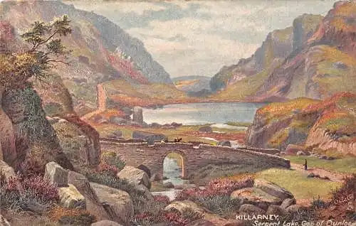 L386 Irland Killarney Serpent Lake Gap of Dunloe Oilette signierte Lack Postkarte