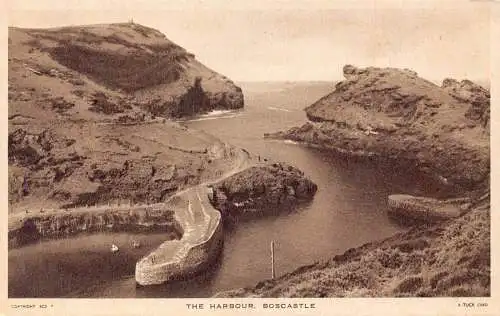 L243 England The Harbour Boscastle Vintage Postkarte