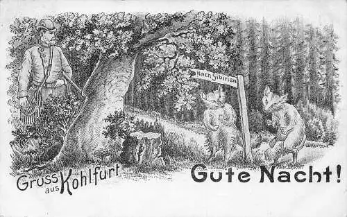 L114 Polen 1906 Gruss aus Kohlfurt Wegliniec Jäger Füchse nach Sibirien Postkarte