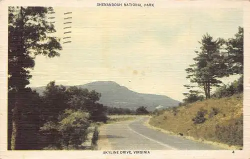 A181 US Virginia 1947 Shenandoah Nationalpark Skyline Drive Vintage Postkarte