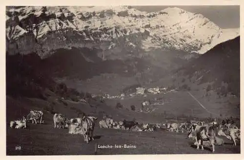 A182 Schweiz Loeche les Bains Leukerbad Kühe Berg Vintage Postkarte