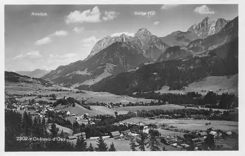 A182 Schweiz Chateau-d'Oex Berggipfel Gesamtansicht Vintage Postkarte