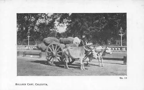 A008 Indien Kalkutta Ochsenwagen Transportgüter Vintage Postkarte
