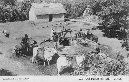 A008 Indien Jaipur Well und Pkhat Bullocks Farm Vintage Postkarte