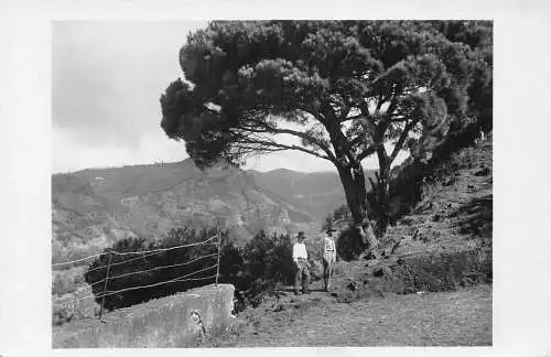 A779 Portugal Landschaft bei Choupana RPPC Vintage Postkarte