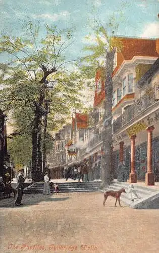 A780 England Tunbridge Wells Pantiles HG Groves Shop Hund Postkarte