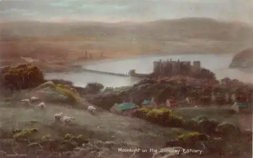 A791 Wales Moonlight on the Conway Estuary Sheep Castle Vintage Postkarte