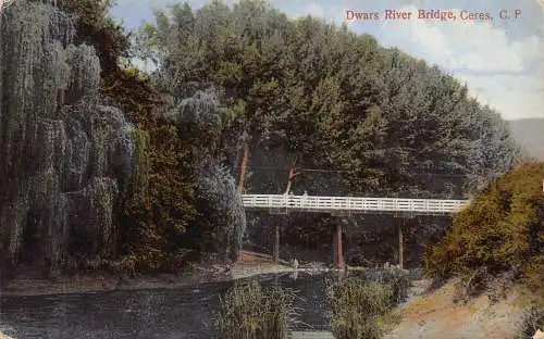 A796 Südafrika Kap Provinz Zwerge Brücke Ceres Vintage Postkarte