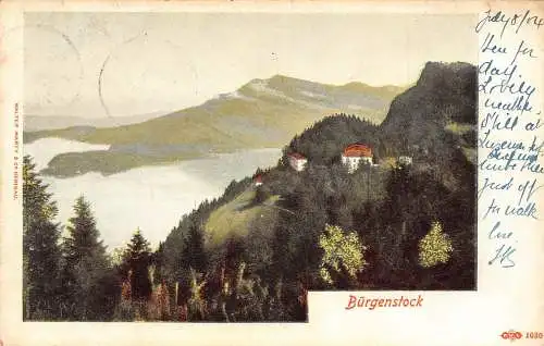 A796 Schweiz 1904 Bürgenstock Gesamtansicht Vintage Postkarte
