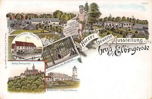 A797 Deutschland Gruss aus Elbingerode Messehotel Waldhof Litho Postkarte