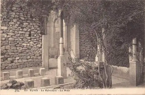 A801 Tunesien Tunis Belvedere La Mida Vintage Postkarte