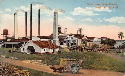 A811 Kuba Zuckermühle bei der Arbeit Fabrik Industrie Ochsenwagen Vintage Postkarte