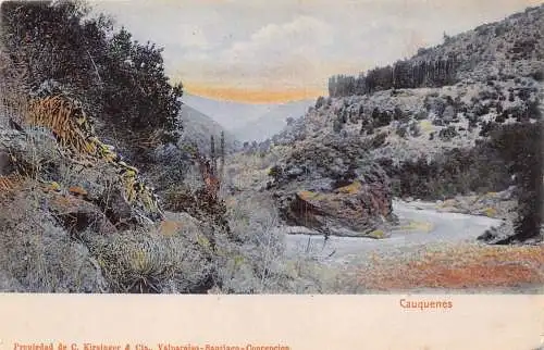 A813 Chile Cauquenes Landschaft Tal Fluss Vintage Postkarte