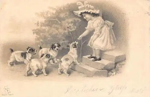 L414 Grüße 1901 Mädchen spielt mit Welpen Hunde geprägte Postkarte