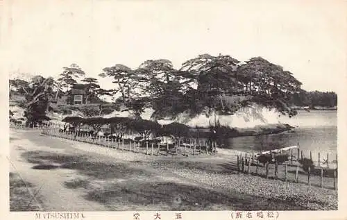 L271 Japan Matsushima Pine Island Trees Vintage Postkarte