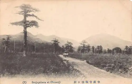 L270 Japan Senjogahara bei Chuzenji Vintage Postkarte