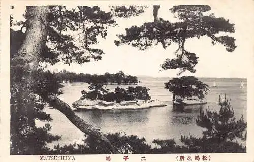 L271 Japan Matsushima Bäume auf kleinen Inseln Vintage Postkarte