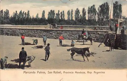 A812 Argentinien Marcando Potros San Rafael Provincia Mendoza Pferd töten Postkarte